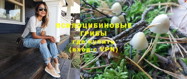 твердый Алзамай