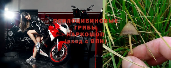 spice Алексеевка