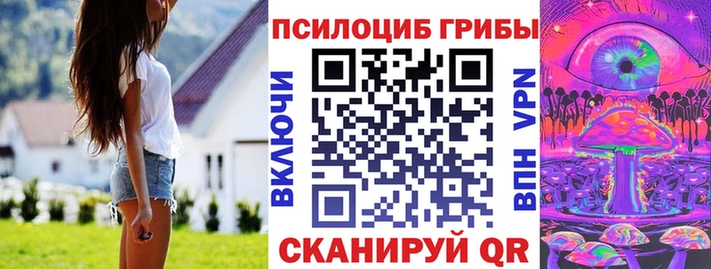 как найти   площадка клад  Псилоцибиновые грибы Psilocybine cubensis  Балашов 